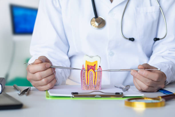 Best Emergency Gum Pain Relief  in Celebration, FL
